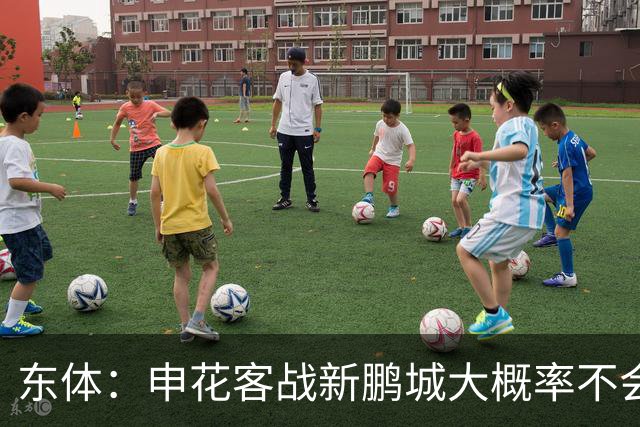 东体：申花客战新鹏城大概率不会有太多保留，延续赢球势头最重要