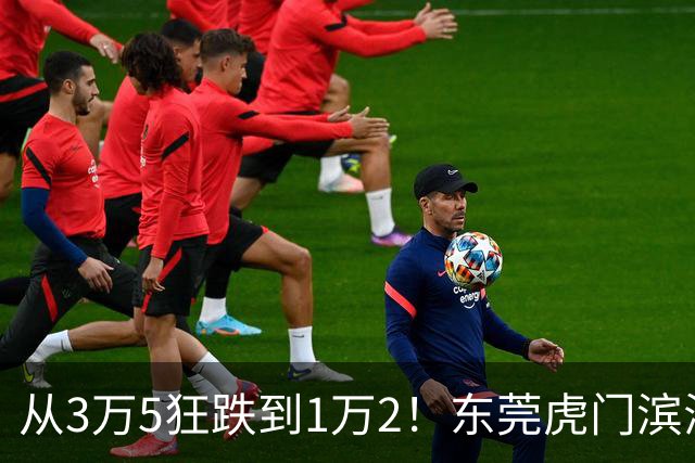 从3万5狂跌到1万2！东莞虎门滨海湾神话破灭，深圳炒客撑不住了