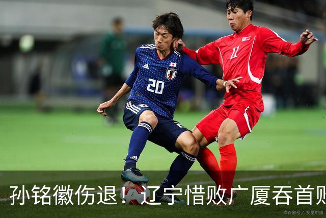 孙铭徽伤退！辽宁惜败广厦吞首败 威尔斯战旧主狂轰36+7+5