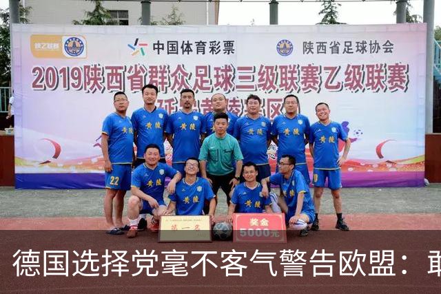 德国选择党毫不客气警告欧盟：敢拒绝我们的提议，后果将十分严重