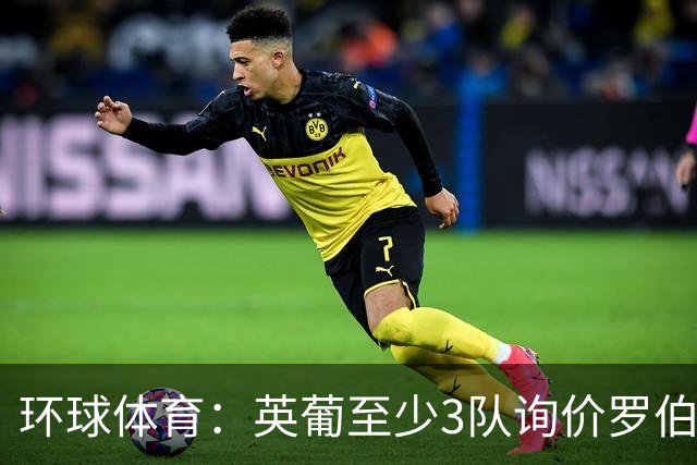环球体育：英葡至少3队询价罗伯特-雷南，瓦斯科有信心留人