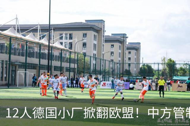 12人德国小厂掀翻欧盟！中方管制精准命中，光刻机巨头坐不住了？