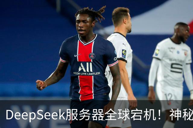 DeepSeek服务器全球宕机！神秘Harness账号同时现身
